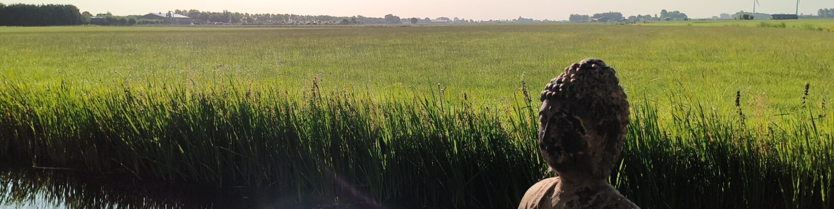 Laatste boodschap in beeld